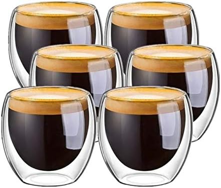 Double Wall Glass Cup