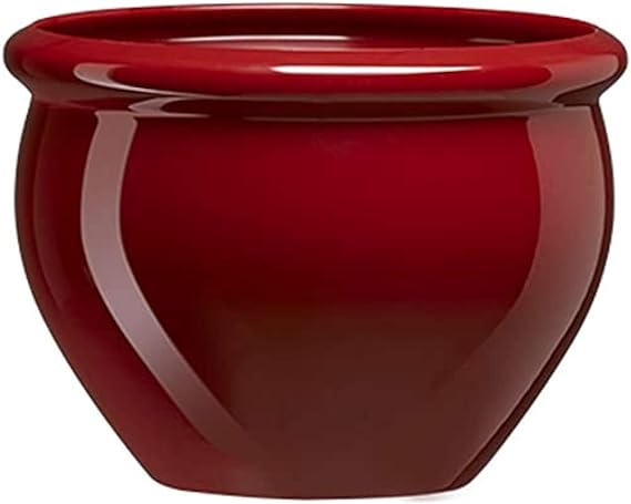 Emsa Flower Pot Ruby Red