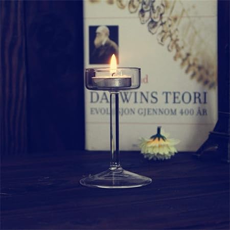 Glass Candle Holder