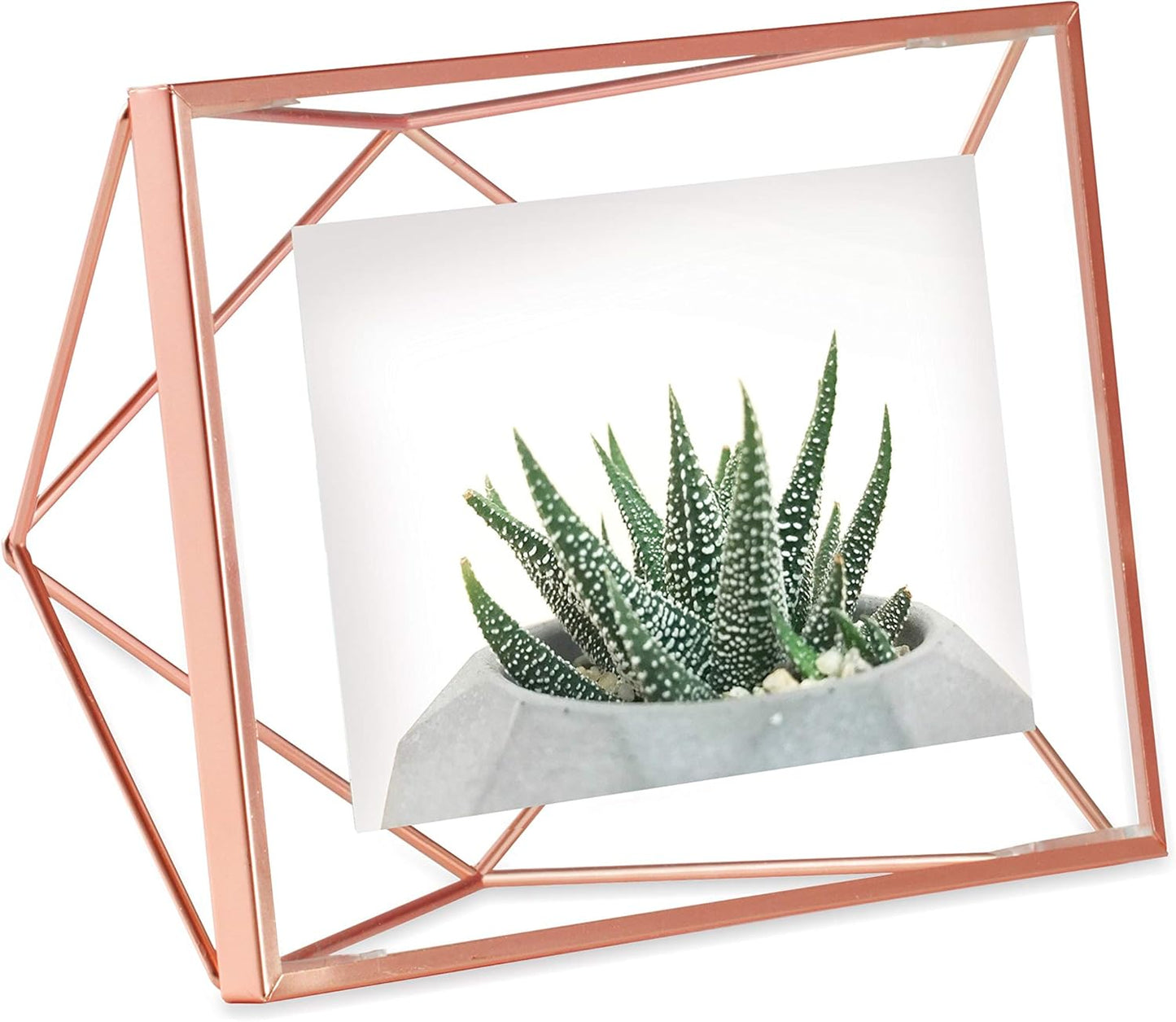 Umbra Prisma Photo Frame