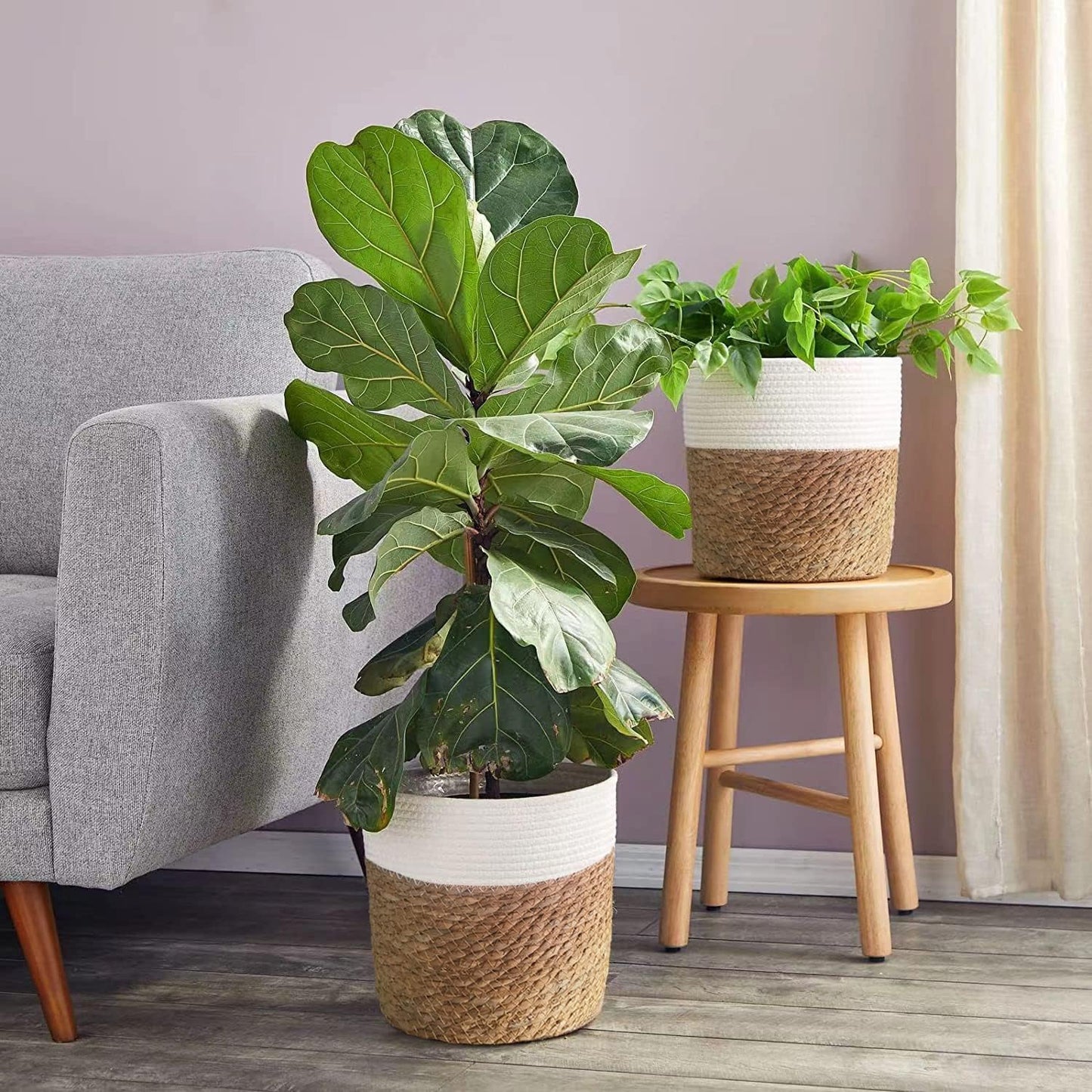 Basket Plant Stand