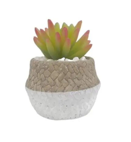 Artificial Plant