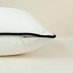 Plush Velvet Pillow
