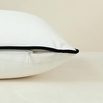 Plush Velvet Pillow