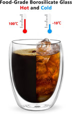 Double Wall Glass Cup