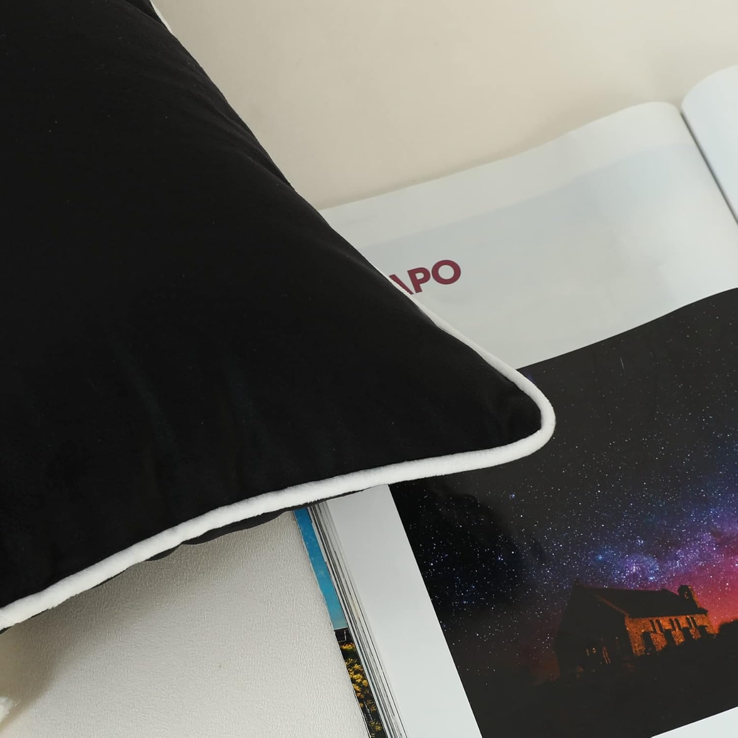 Plush Velvet Pillow