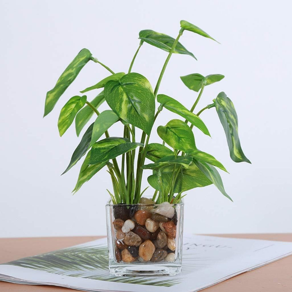 Glass Flowerpot