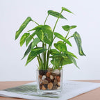 Glass Flowerpot