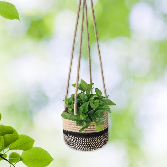 Hanging Basket