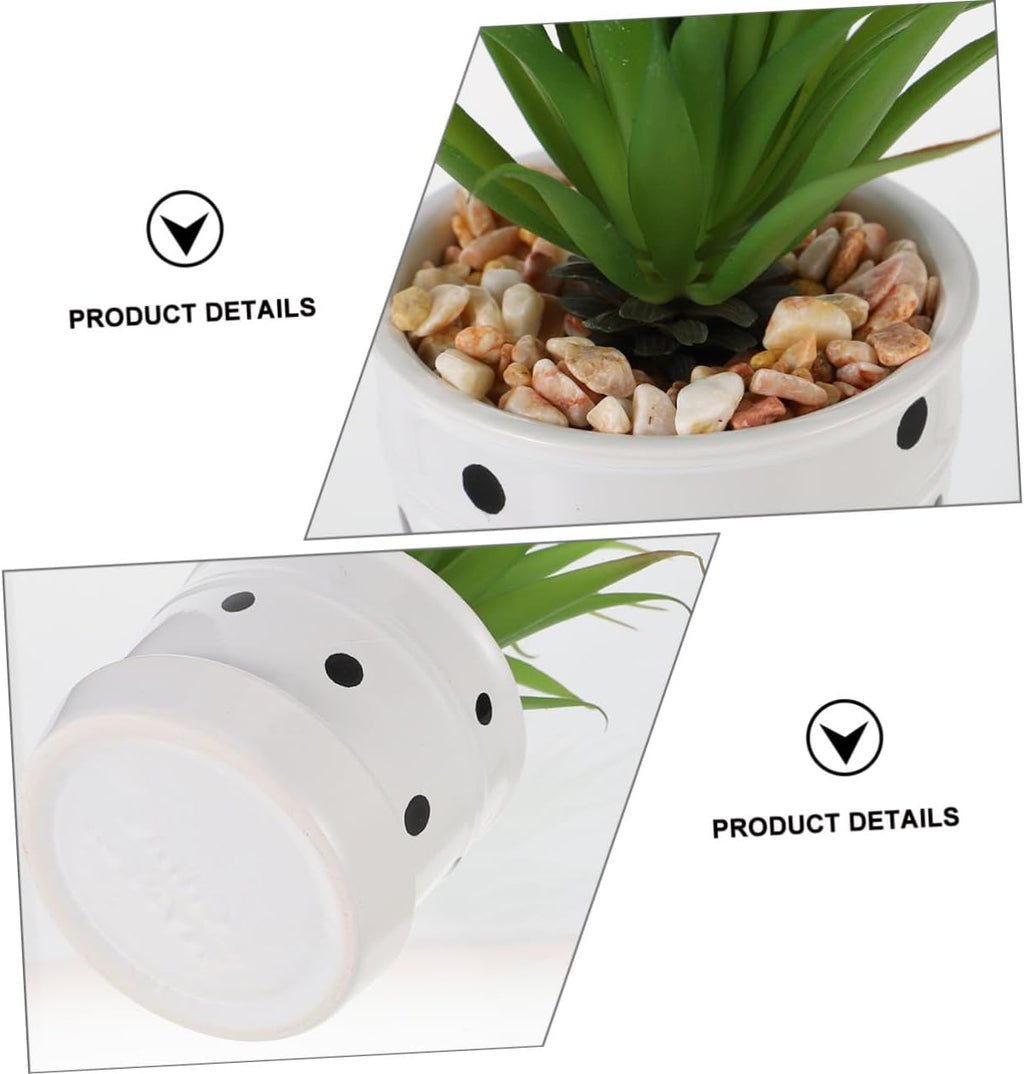 Mini Succulent Potted Plant