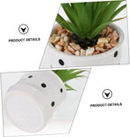 Mini Succulent Potted Plant
