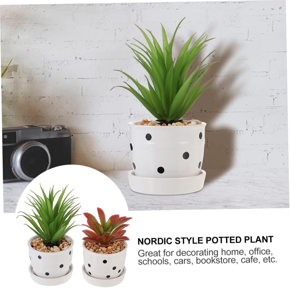 Mini Succulent Potted Plant