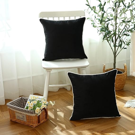 Plush Velvet Pillow