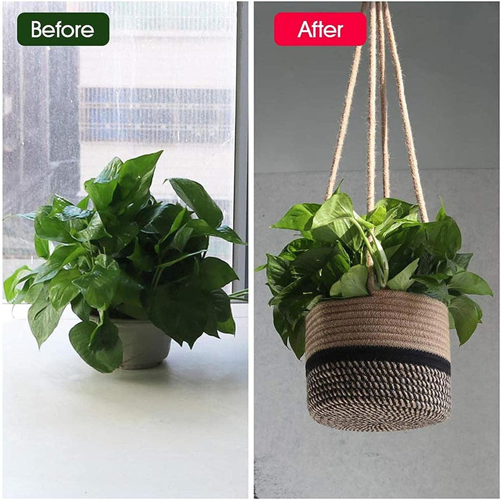 Hanging Basket