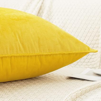 Velvet Throw Pillow