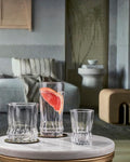 Paşabahçe Gaia Tumbler Set