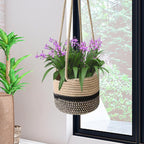 Hanging Basket