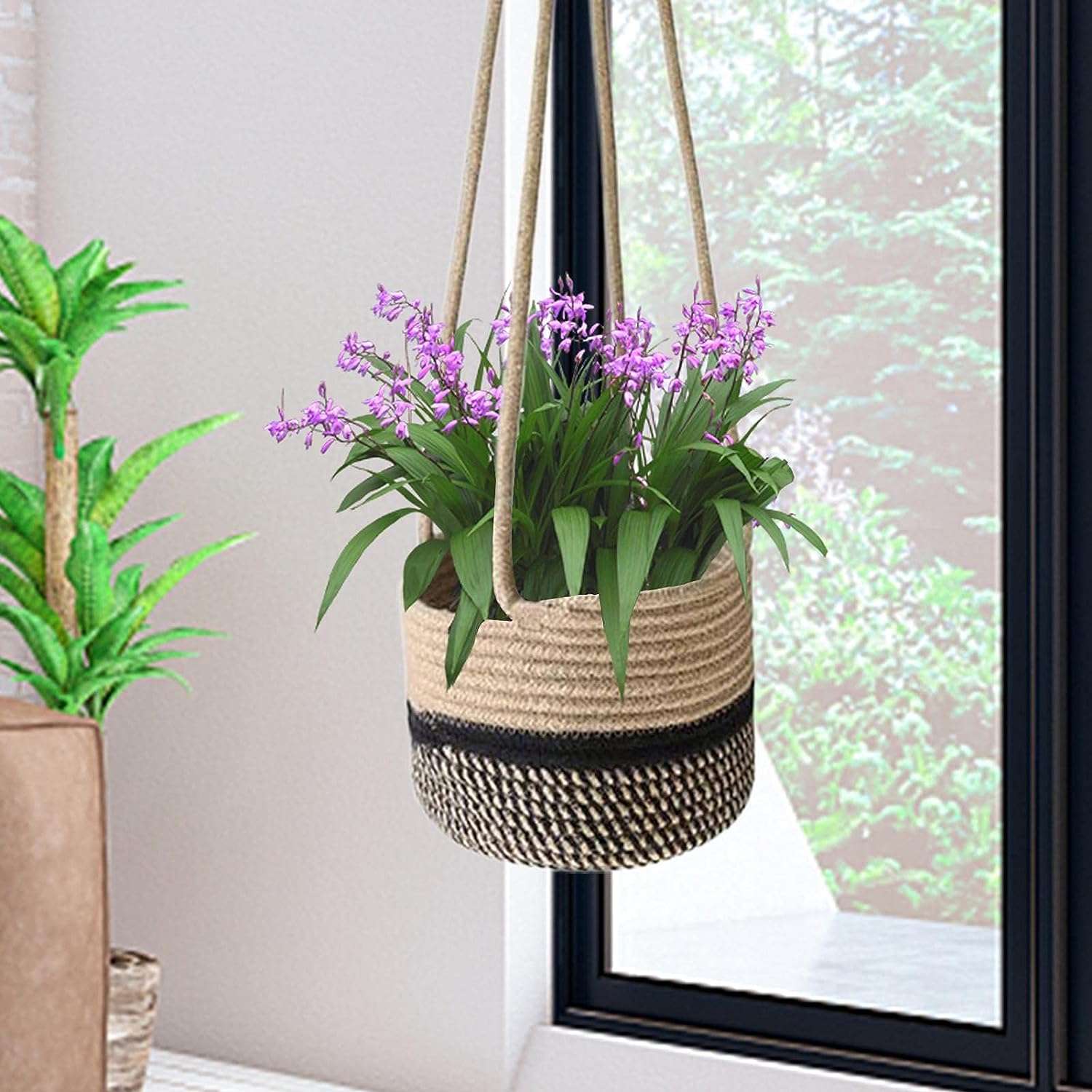 Hanging Basket