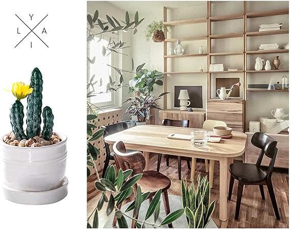 Mini Succulent Potted Plant