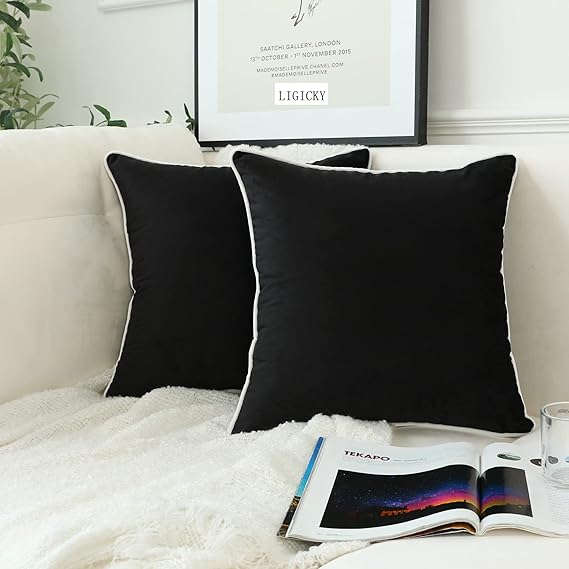Plush Velvet Pillow