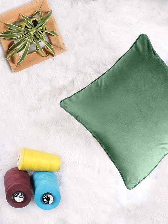 Velvet Throw Pillow