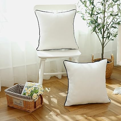 Plush Velvet Pillow