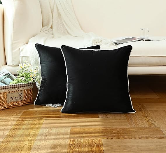 Plush Velvet Pillow