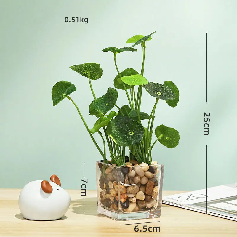 Glass Flowerpot