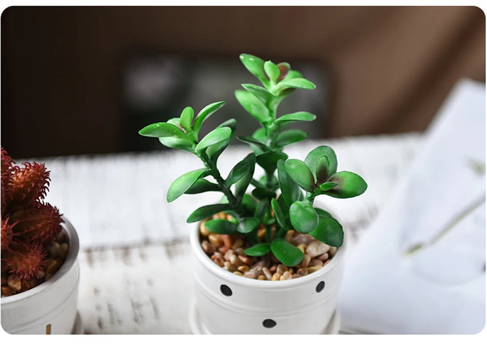 Mini Succulent Potted Plant