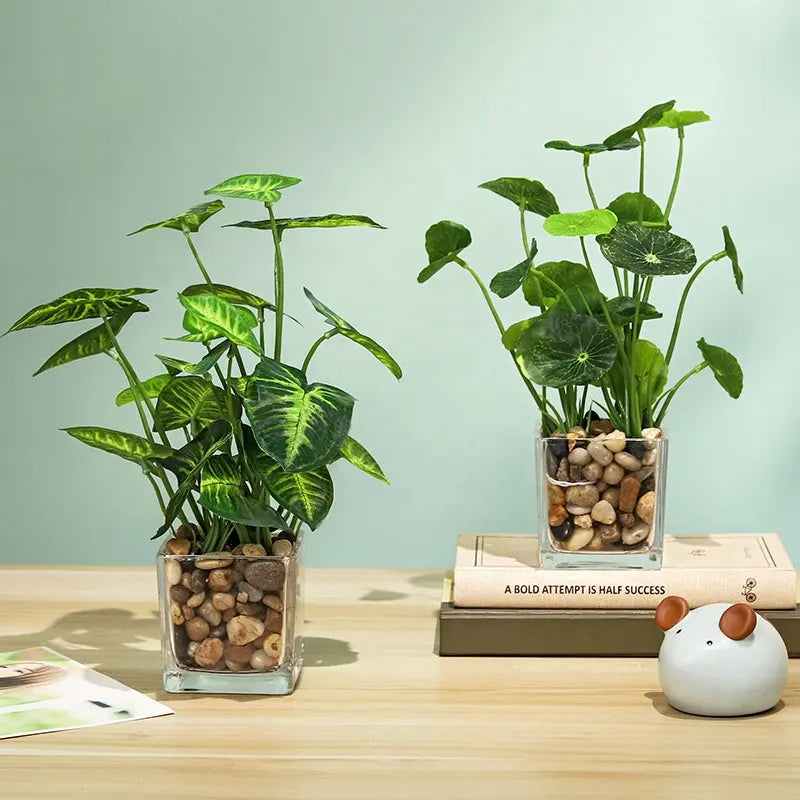 Glass Flowerpot