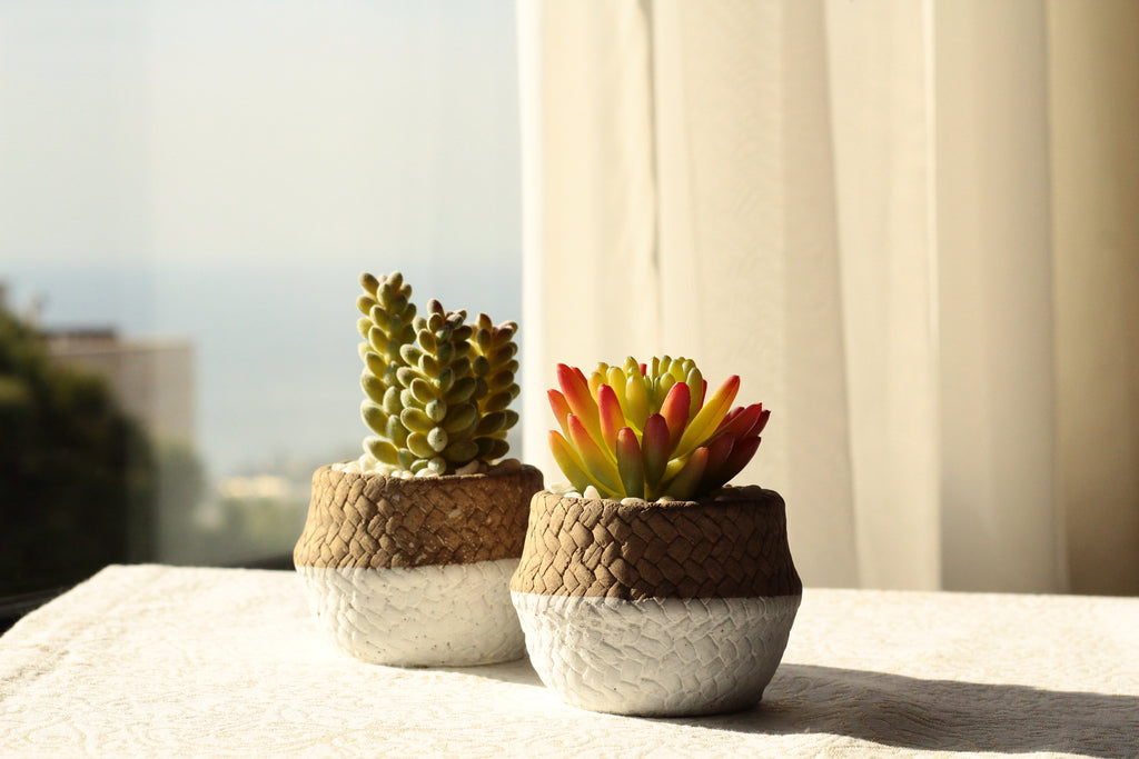 Artificial Plant