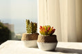 Artificial Plant