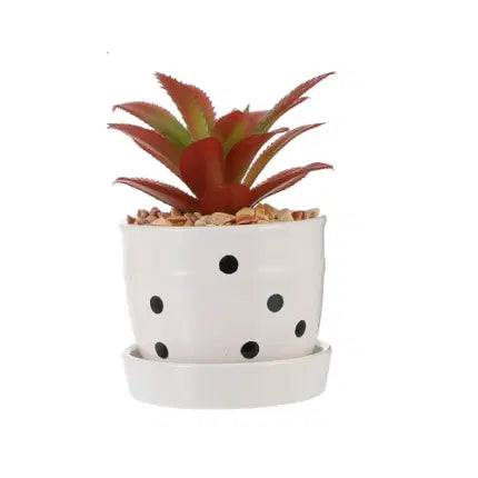 Mini Succulent Potted Plant