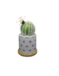 Artificial Plant Stand